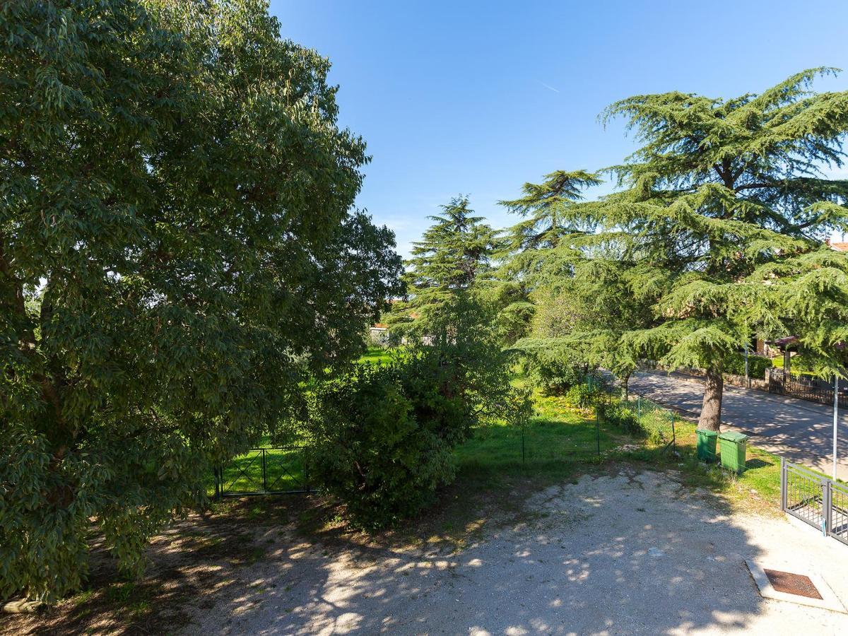 Dream Istria Apartment
